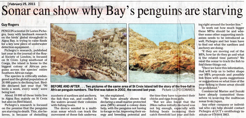Penguins starving to death